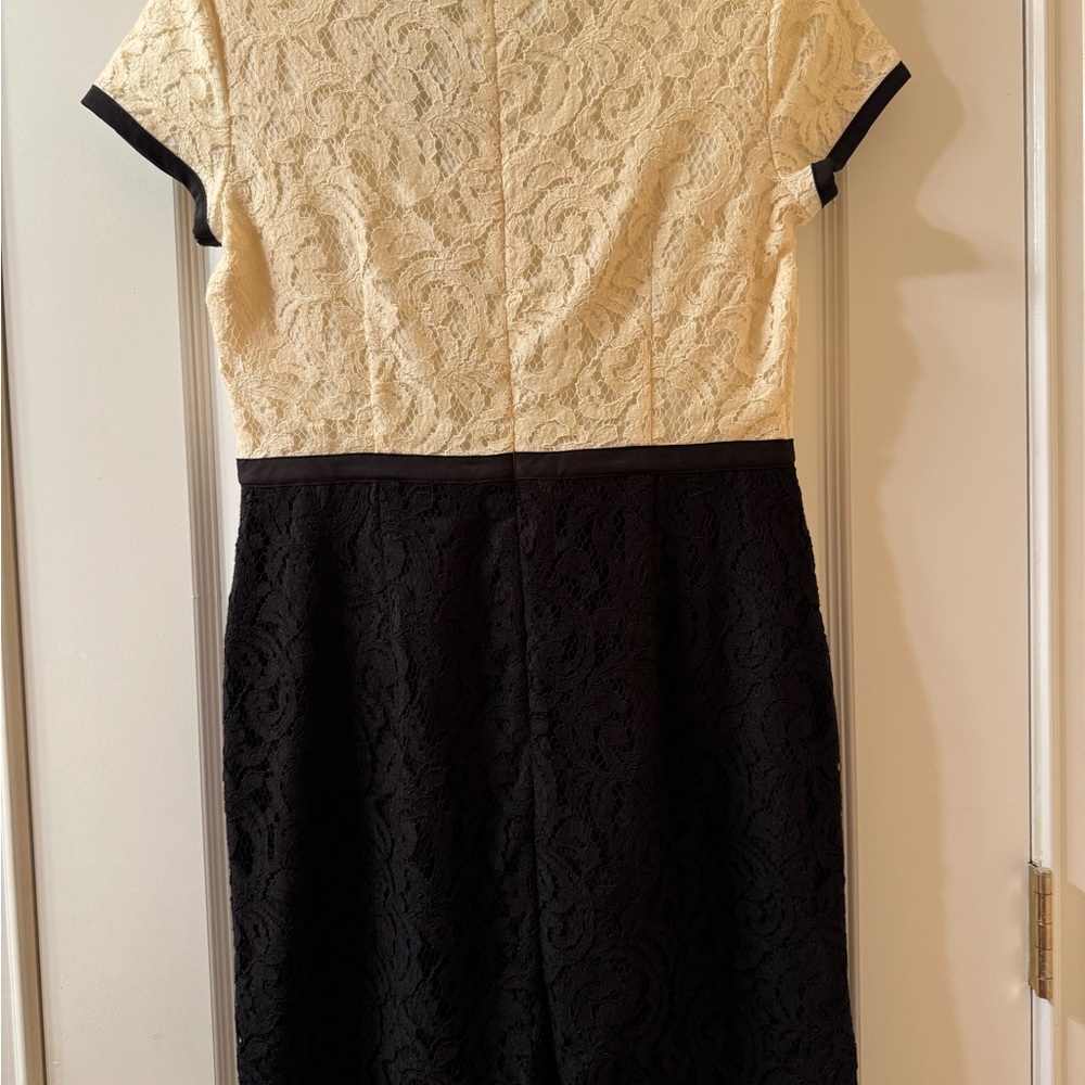 NWT Ann Taylor Elegant Two-Tone Black and Cream Lace Dress - Picture 6 of 16